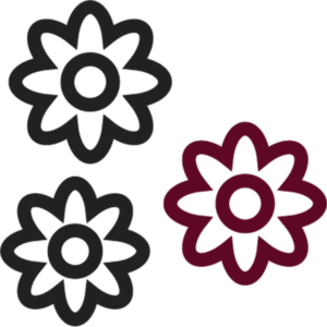 elements-50-spa-line-green-black-icons-EGVMGU-2017-12-07-8-300x300